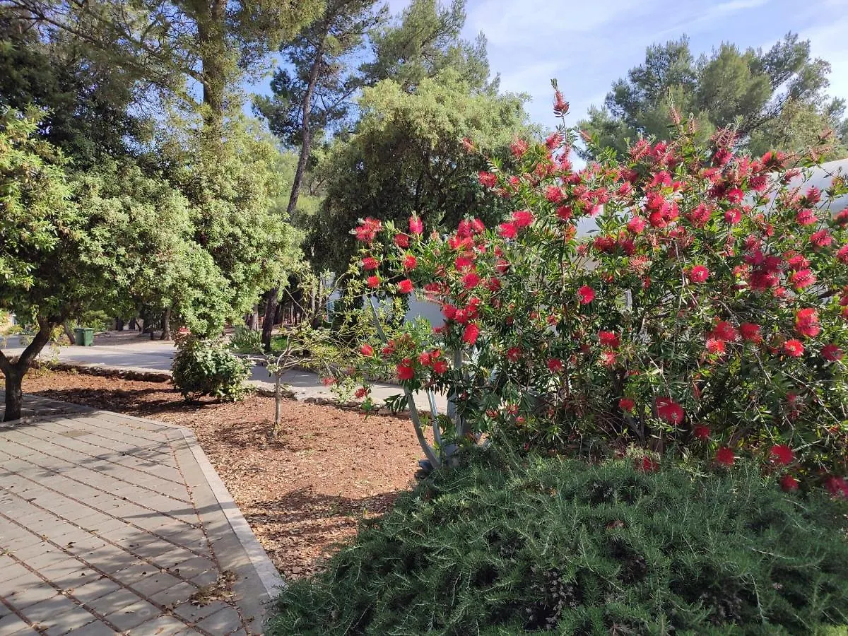 Campsite Mobile Home Limona Biograd Na Moru