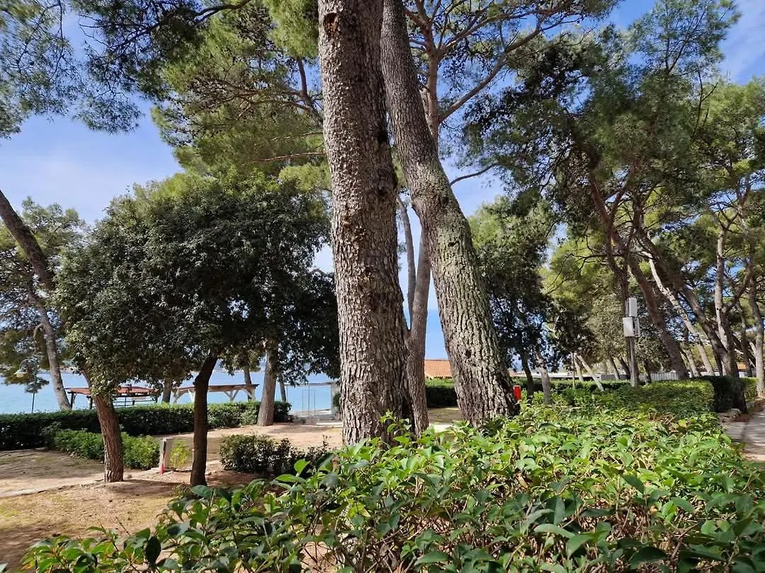 Mobile Home Limona Biograd Na Moru